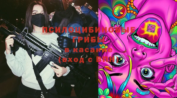 марки lsd Бородино