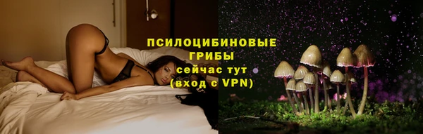 apvp Магадан