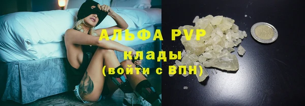 марки lsd Бородино