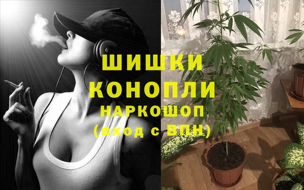 прущие крисы Майский