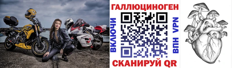 Псилоцибиновые грибы Psilocybe  Жиздра 